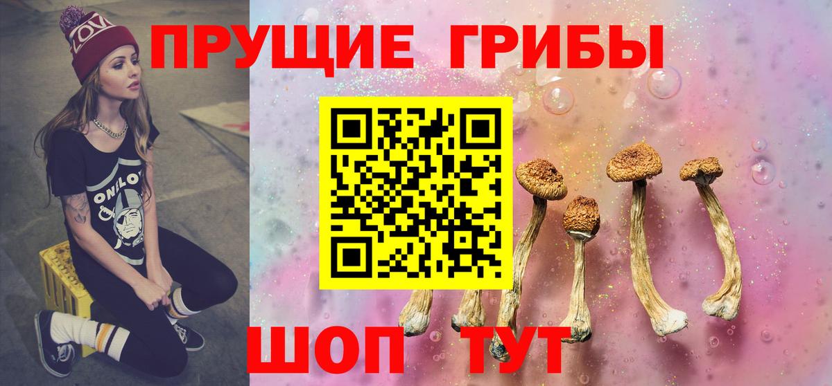 Уссурийск  Псилоцибиновые грибы Psilocybine cubensis  Вход с VPN 